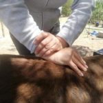 Manualtherapie